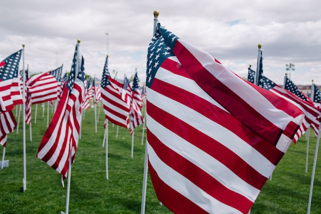 American flags in the ground